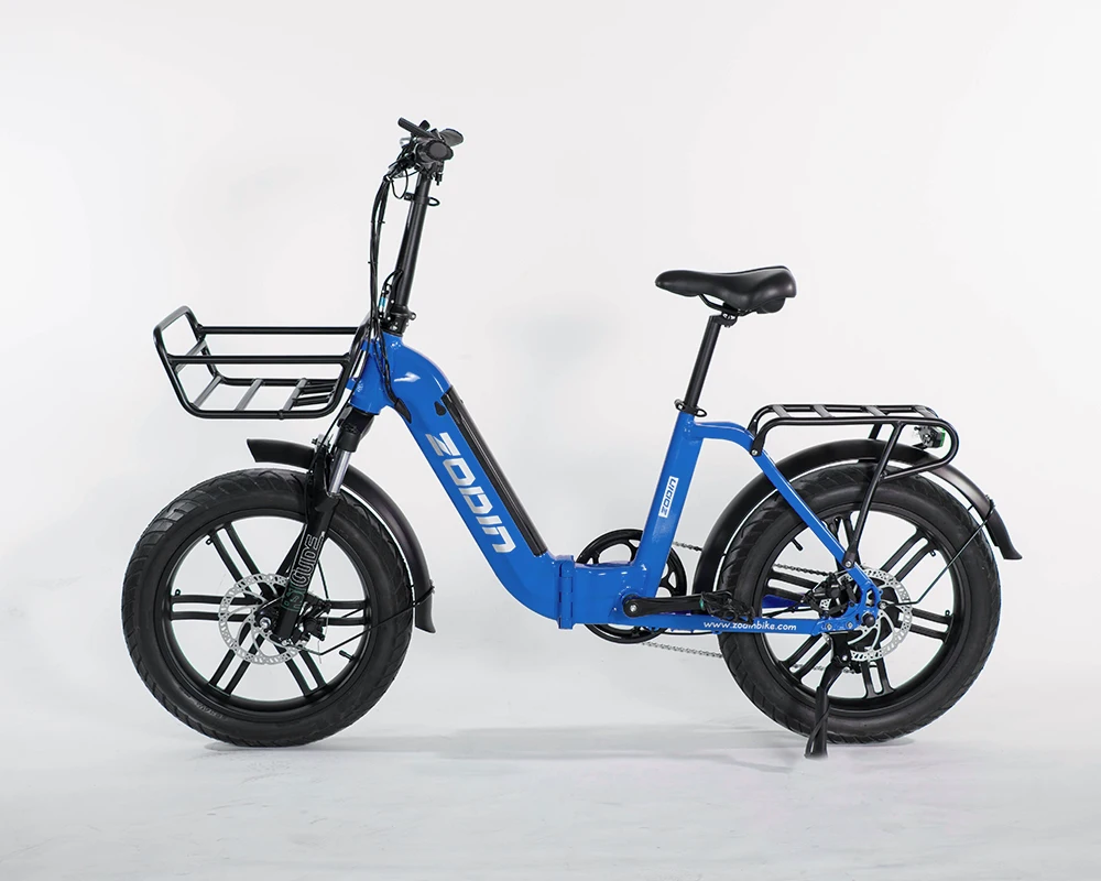 electric bike for 500 lb person