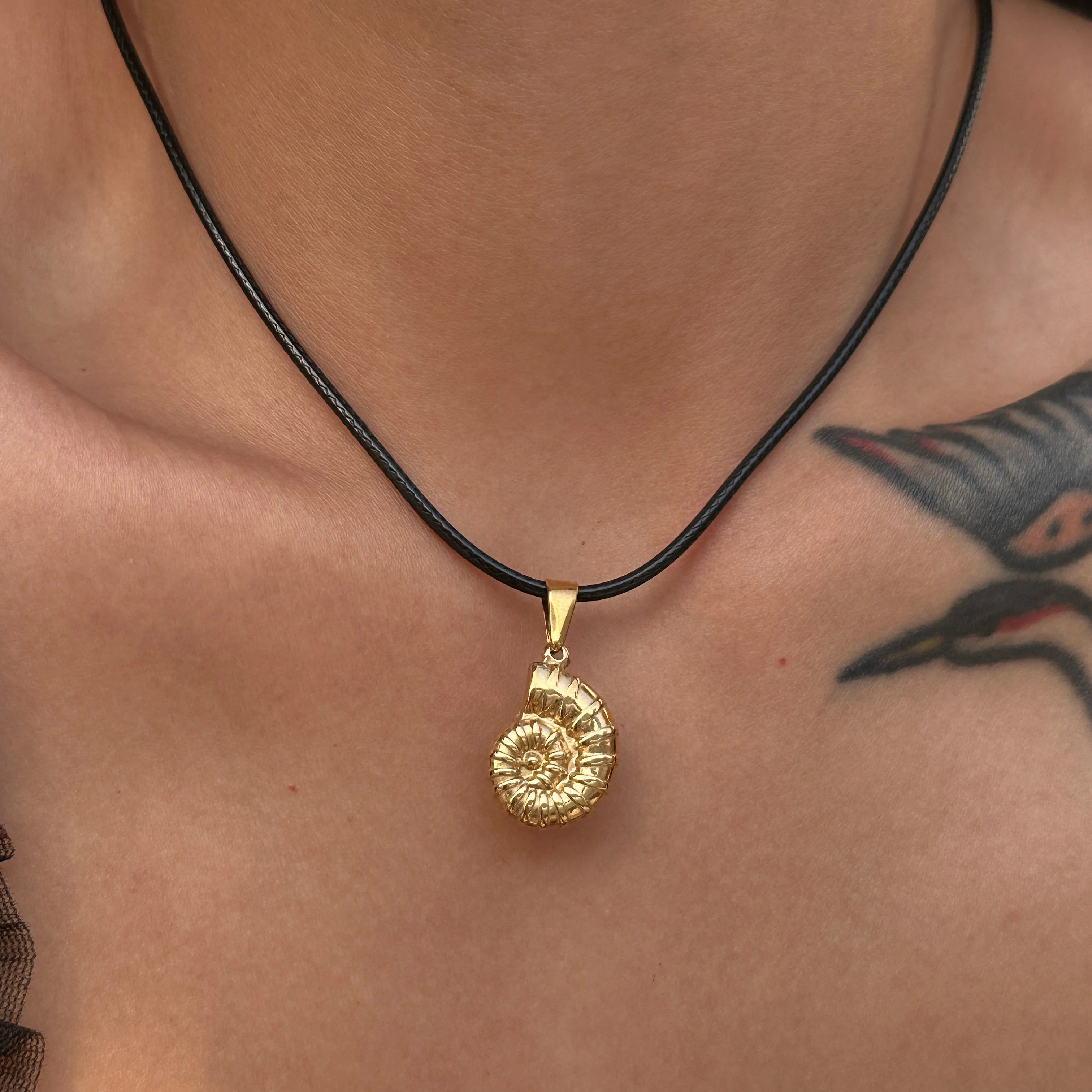 

2023 Dazan Summer New 18k Pvd Gold Plated Stainless Steel Boho Hawaiian Beach Design Conch Pendant Leather Rope Necklace Women