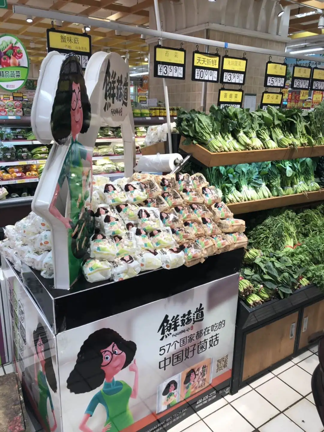 
fresh mushroom(brown shimeji) 