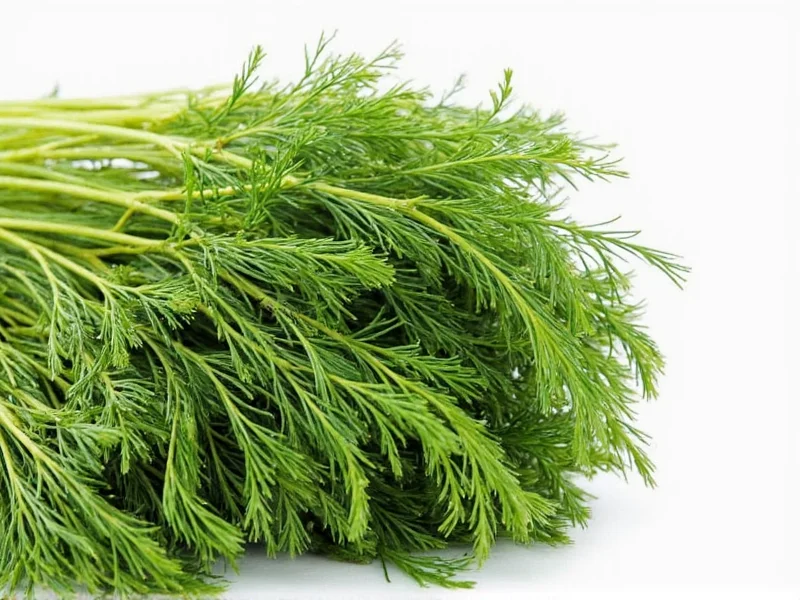 How to Dry Dill: Best Methods for Maximum Flavor