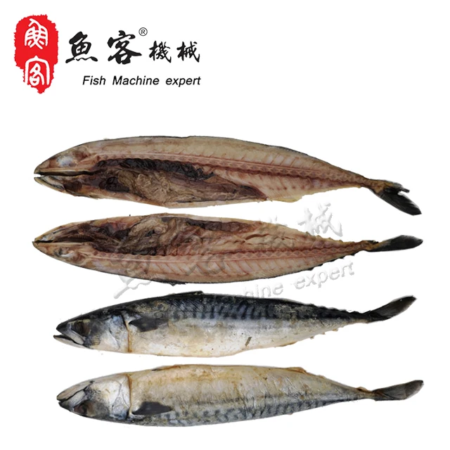 4Fish Fillet Equipment.jpg