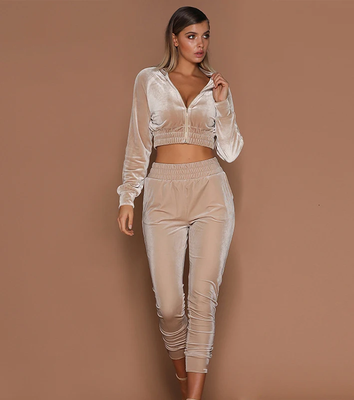 

Athleisure Activewear Velvet Joggers Set For Women