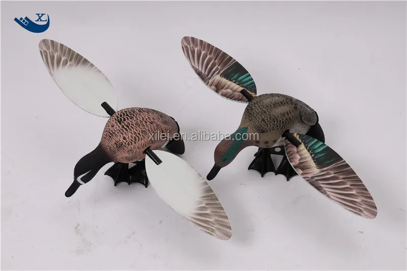 green wing teal (6).jpg
