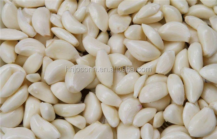 garlic peeling machine07.jpg