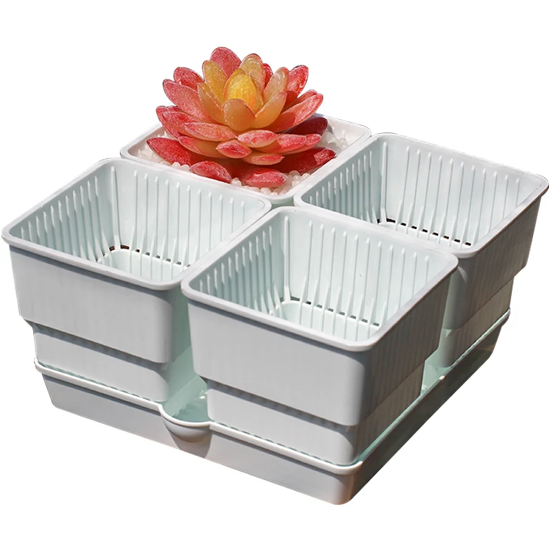 

plastic flower pot plant pot white succulent square pot cactus container planter, White/black