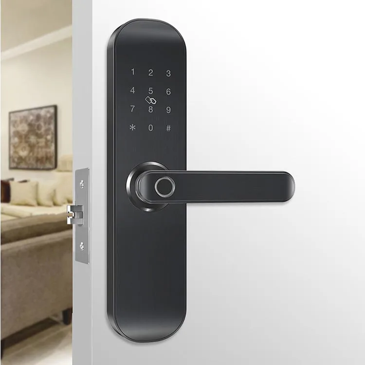 
4 AA Battery Zinc Alloy Smart Lock For Main Door M16 