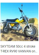 skyteam trex.png