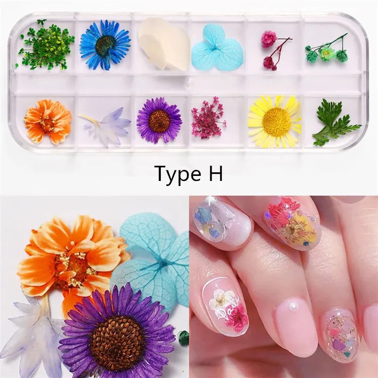 QT0188 Type H flower