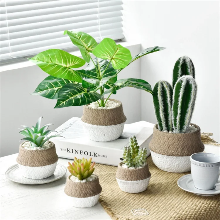 

Wholesale Creative Artificial Succulent Potted Plants Simple Cactus Green Plants Small Potted Plants for Home Decoration