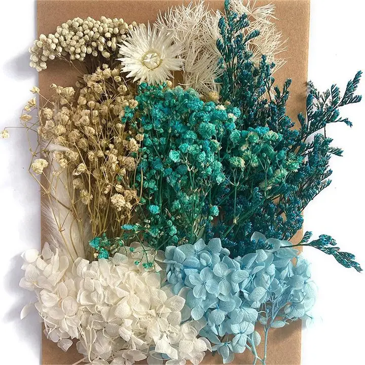 

Y-N050 Natural Dried Flowers And Plants Resin Dry Flower Material Mix Color Dry Flowers For Resin Candles