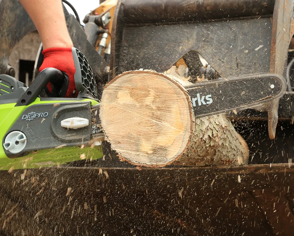 Electric chain saw.jpg