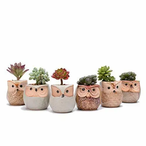 

P280 Ceramic Flower pot Cartoon Owl Thumbs Garden Pot For Home Decoration Succulent Plants Mini Flower pots, Colors