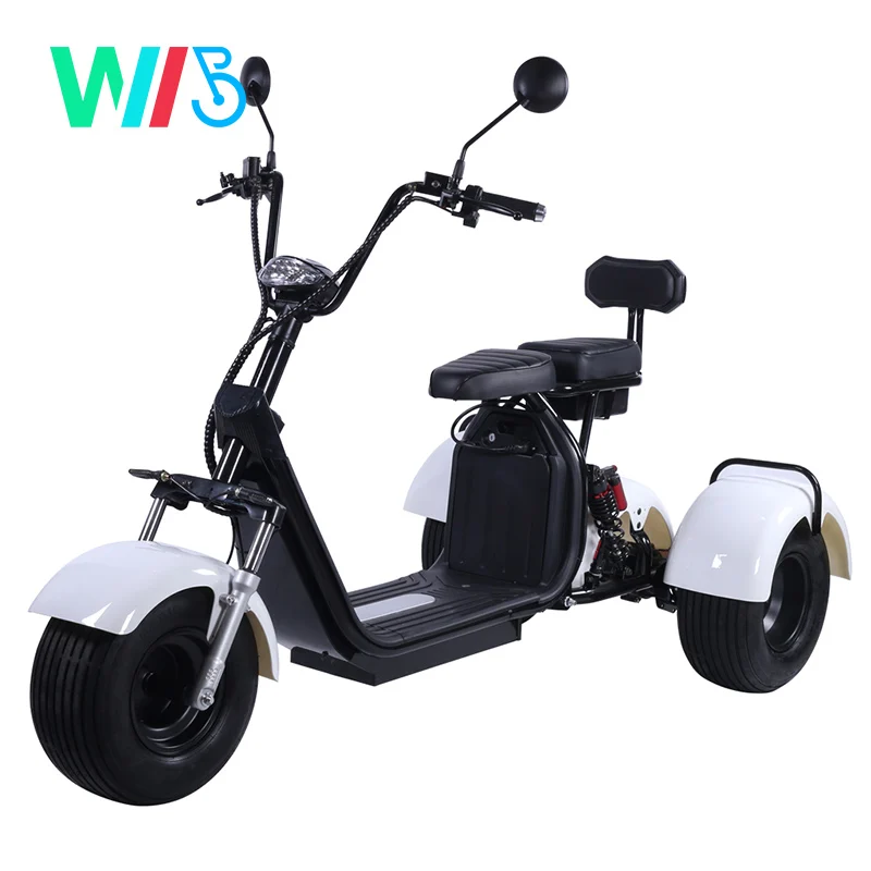 

1000W / 1500W / 2000W Three Wheels Big Tire Trike Atv Adult Tricycle Citycoco 3 Wheel Electric Scooter, Customized color