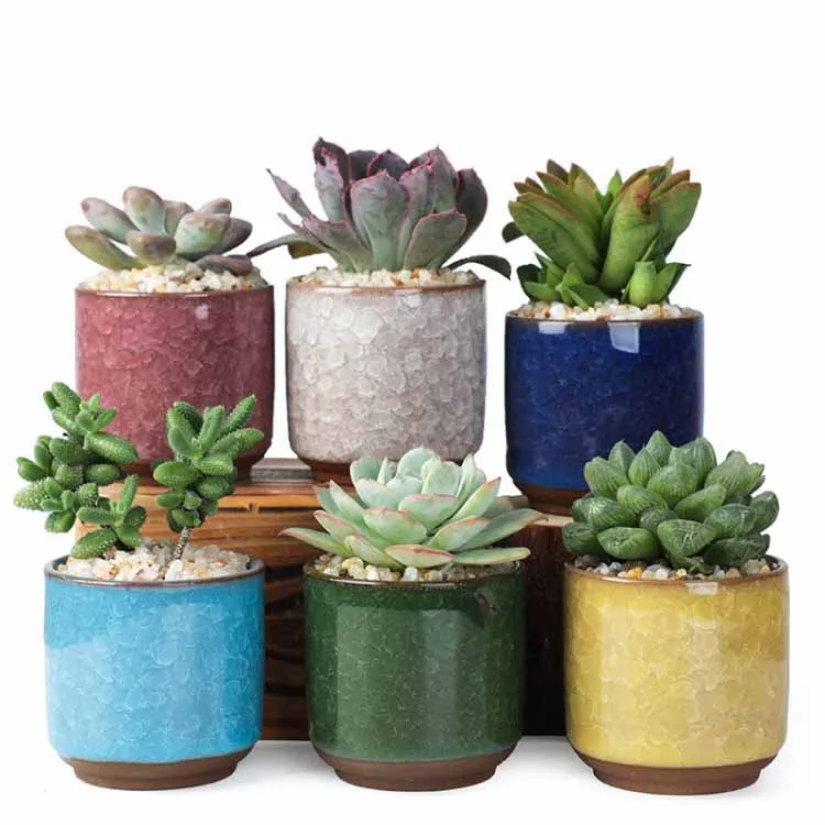 

Ice cracked flower pot mini desk flowerpot meaty combination small fresh