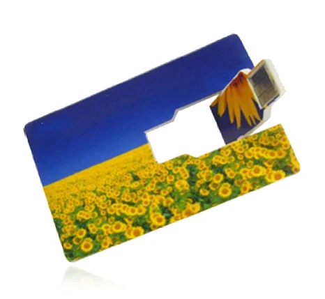 

China Direct Promotional Personalised Super Thin Business Card Printing Logo USB Card USB Flash Drive