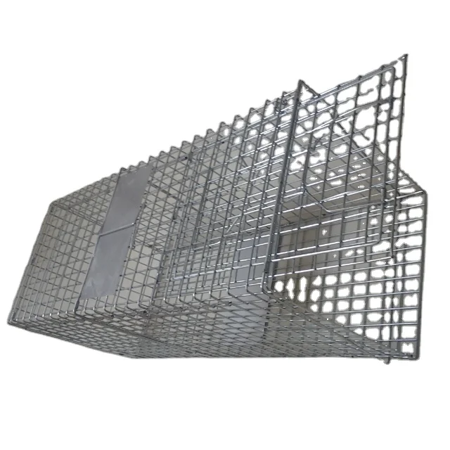 

homemade raccoon traps for squirrels chipmunk traps