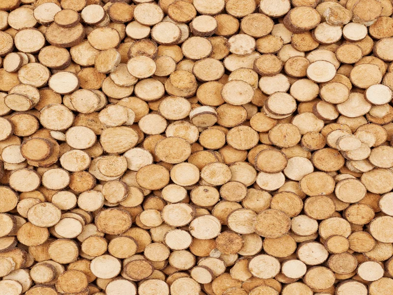 wood circles for crafts