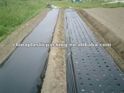 
Agricultural Silver shine plastic black mulch film used in greenhouse 