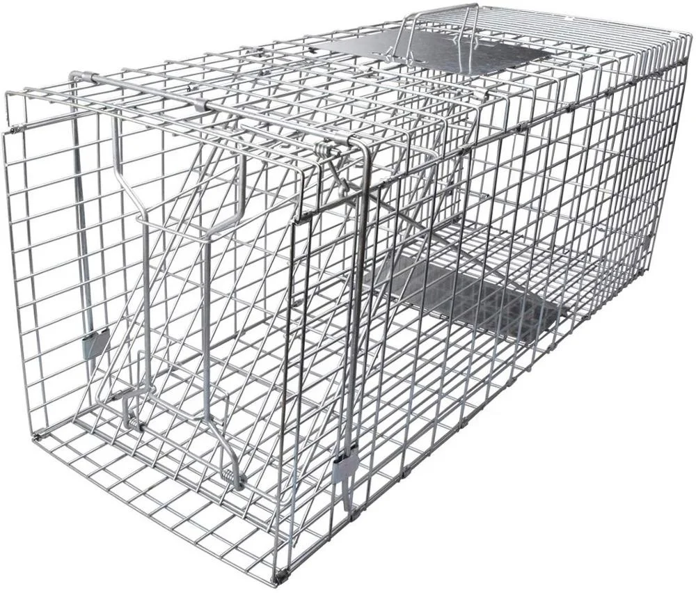 

Humane Living Animal Catching Cage Traps for Marten,Cats,Squirrels,Raccoons,Rabbits,Rats,Weasels,Birds,Foxes,Pigs Made in China, Silver