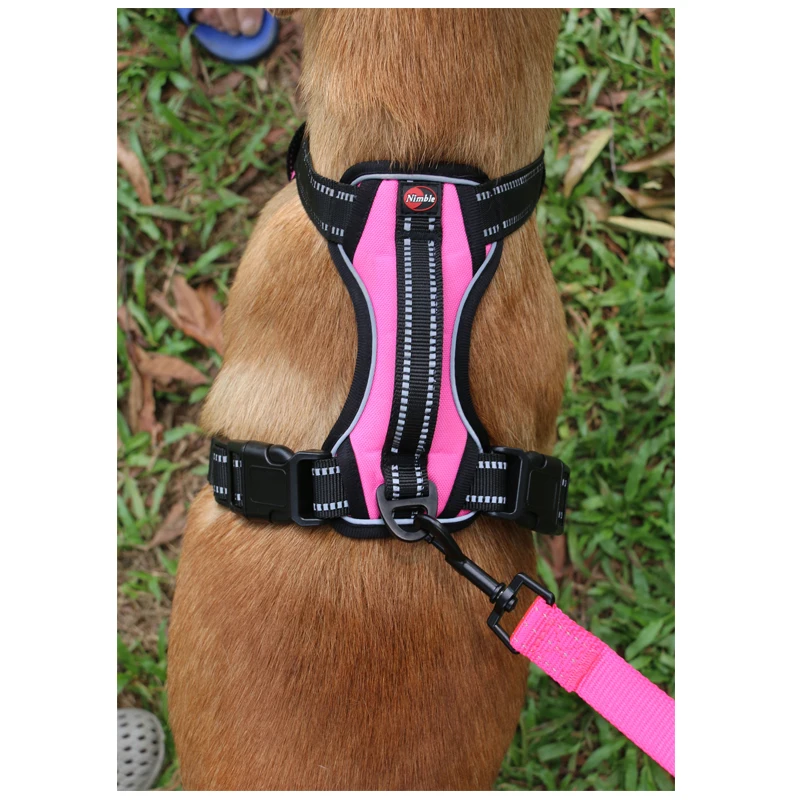 Amazon Pet Cane Products Strong Hemp Oxford Therapy Dog Collar Harness