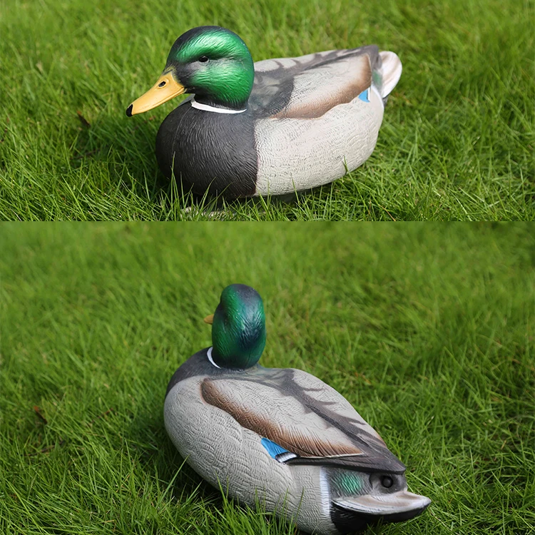 Details about    Two mallard duck decoys realistic size and color Plastic and preowned 