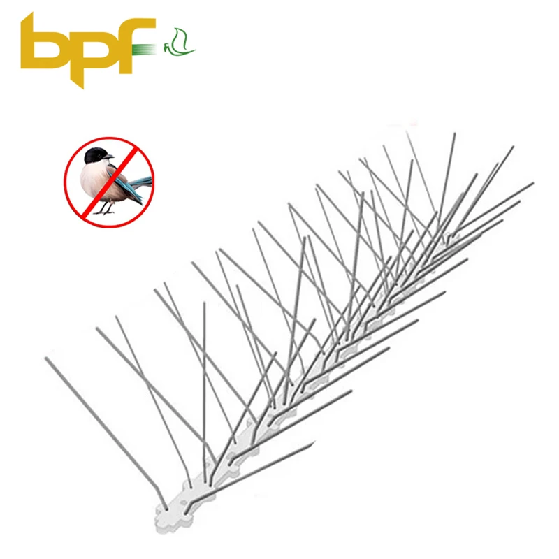 

New arrival Top grade durable bird spikes plastic Bird Thorn, Transparent base