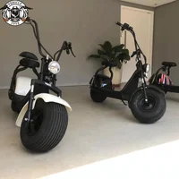 

2019 best electric scooter with 18*9.5 inch fat tire 2000w for adult citycoco