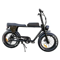 

2020 10.4ah lithium battery super powered 48v 500w HP-E 73 two seat ebike / fat tire 2 seater electric bike with foot rest