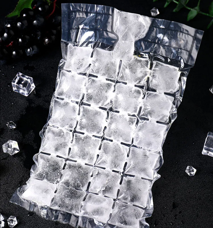 Customized 24 Cubes Clear Disposable Selfseal Clear Mold Trays Plastic