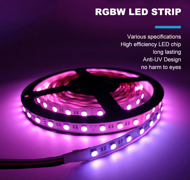 Factory direct sale outdoor rgb led strip lights smd5050 addressable rgb led strip 14.4 watt per meter IP20 IP65 IP67 and IP68