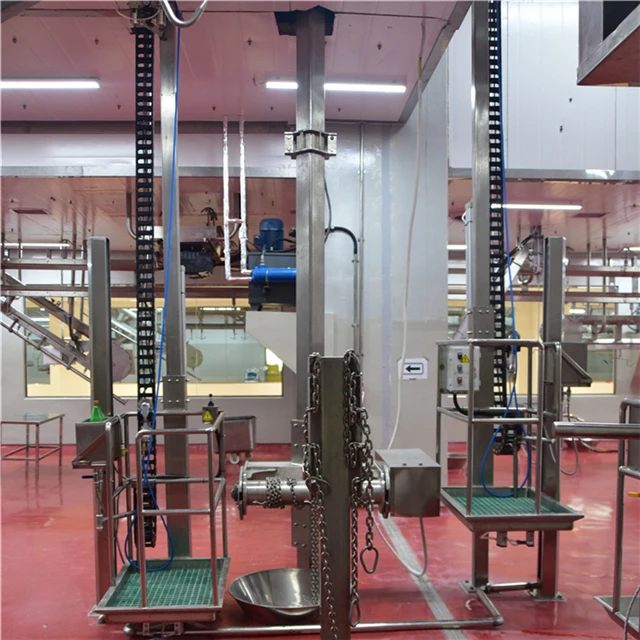 Halal slaughterhouse bull slaughterhouse craft cutting and slaughtering of beef meat butchery equipment