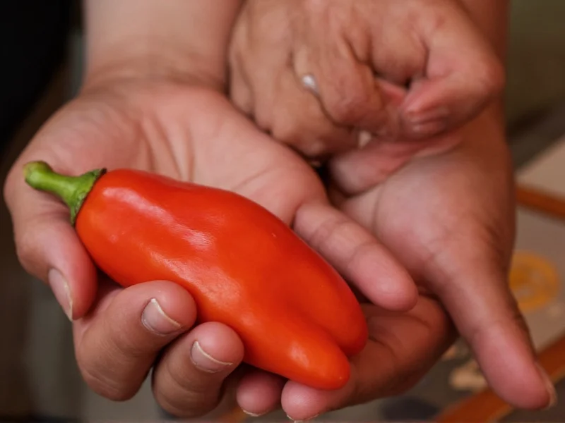 How to Get Hot Pepper Off Hands: Effective Solutions
