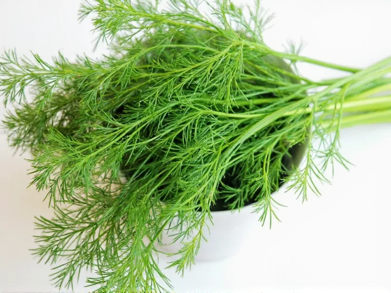 Can I Substitute Dill Seed for Dill Weed? Complete Guide