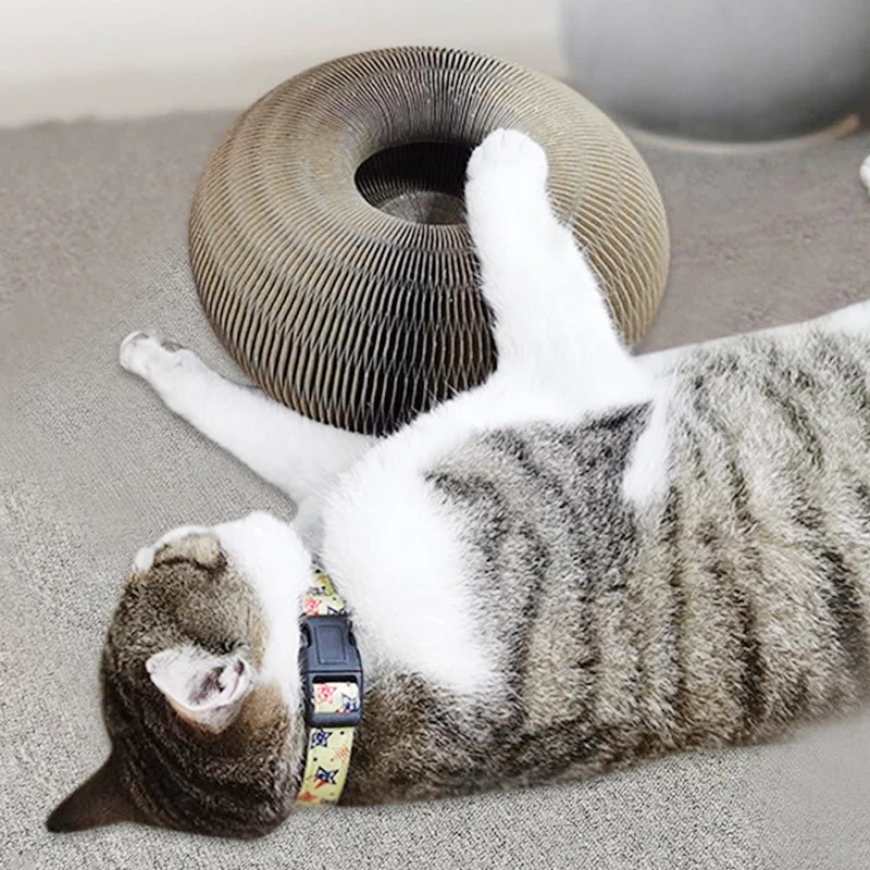 

New arrival new design eco-friendly cat scratch board