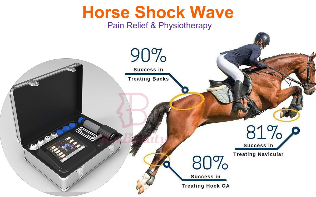Top Beauty Shockwave Therapy Machine Equine Shock Wave For Horse And