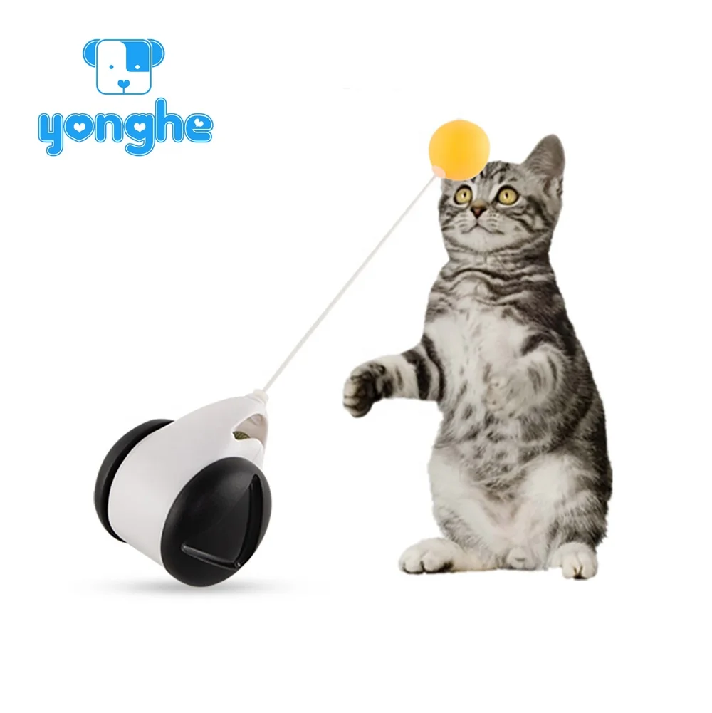 

2021 Hot and New Interactive Cat Toys Pet Funny Cat Teaser Stick Kitten Swing Toys Balance Car