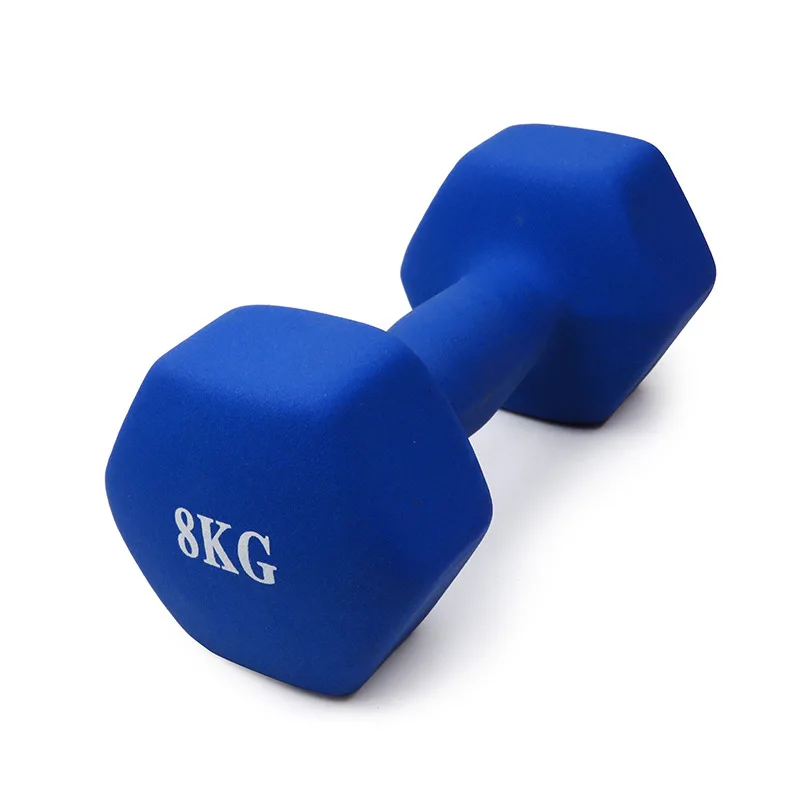 

Non Slip Dumbbells Weight Set Fitness Dumbbell Hand Weights for Exercise Training, Blue, pink, purple