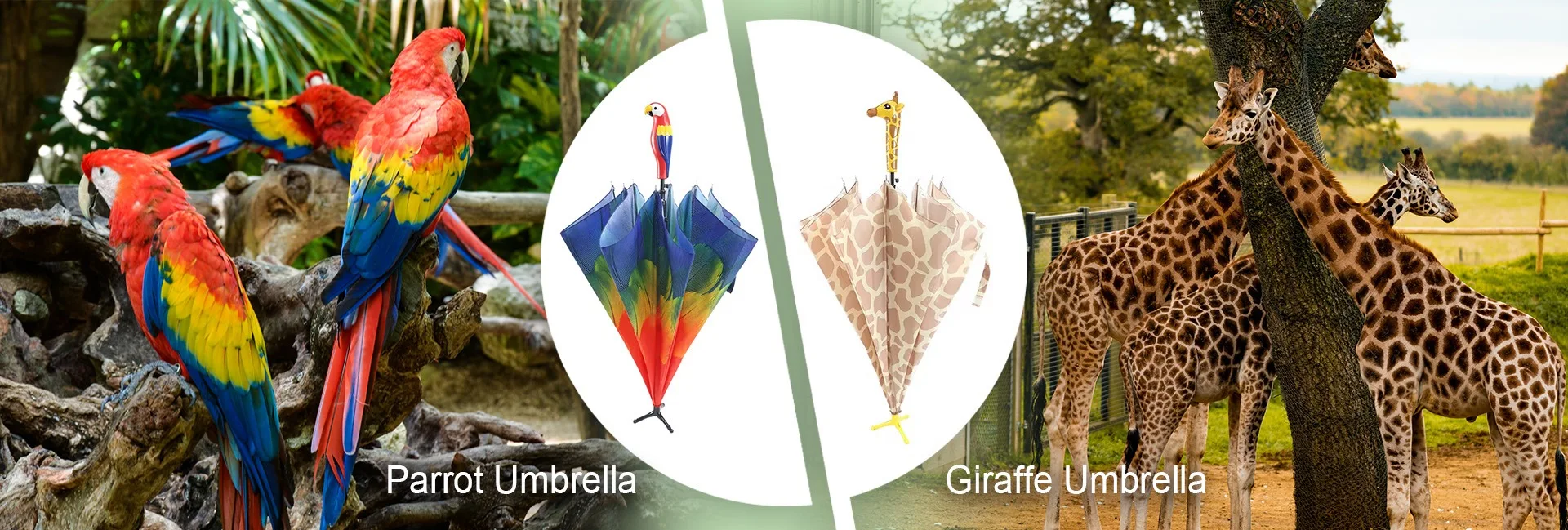 Guangzhou Esschert Trading Co., Ltd. - Watering Can, Umbrella