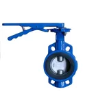 Worm gear wafer butterfly valve DN50 good price butterfly valve Spheroidal Graphite Cast Iron Manual