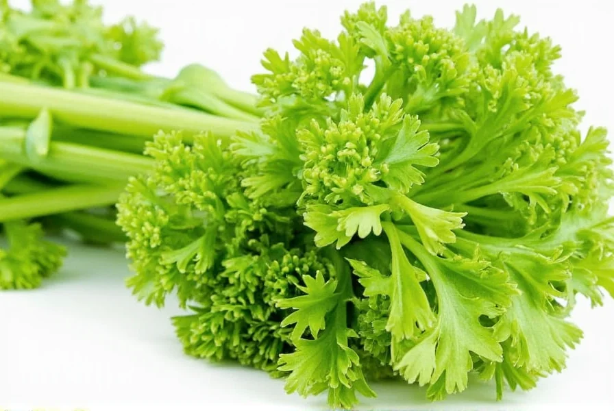 Best Alternatives for Celery Seed: Practical Substitutes for Cooking