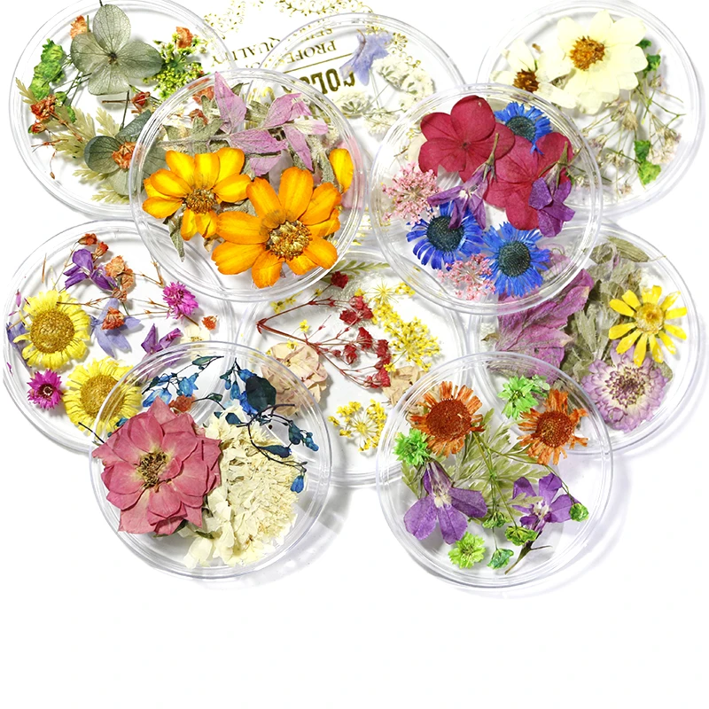 

Mix 3D Natural Dried Flowers Nail Art Decorations Dry Floral Nail Dry Flower, 24 designs