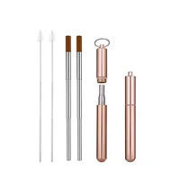 

Rose Gold Reusable Metal Straws, Portable Telescopic Stainless Steel Straw with Travel Case
