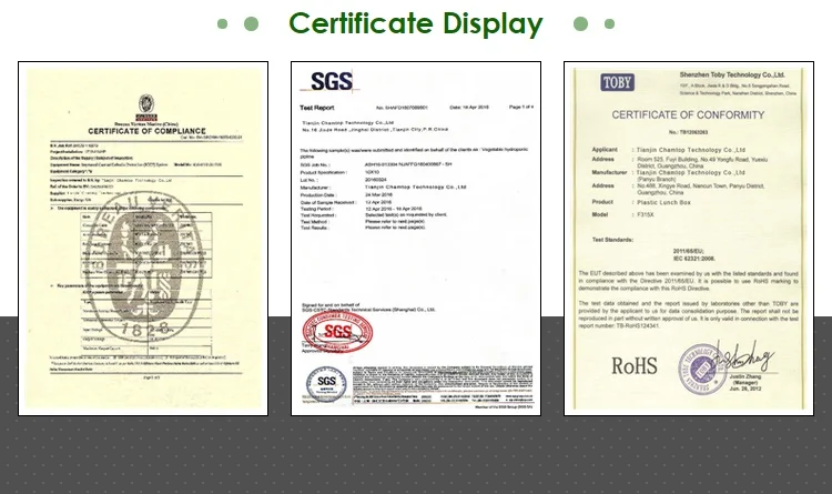 hydroponic gutter for strawberry