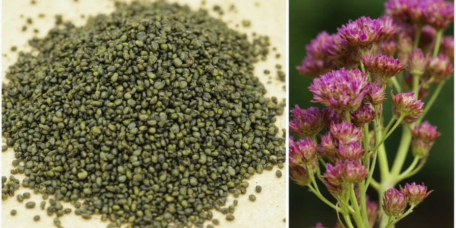 A beautiful styled shot of Nigella Sativa seeds with related spices and dishes
