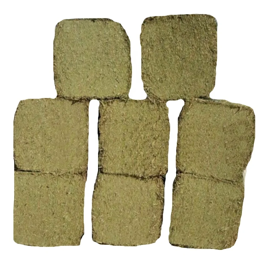 
Premium Quality Peanut Straw Hay For Animal Feed / Peanut Straw For Cattle Forage Best Straw Hay From Pakistan 