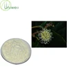 Factory Supply Camptothecin 98% Powder With High Quality
