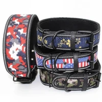 

Reflective custom printed dog collar for medium large dog