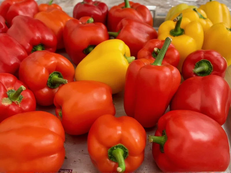 California Peppers: Types, Uses & Growing Guide