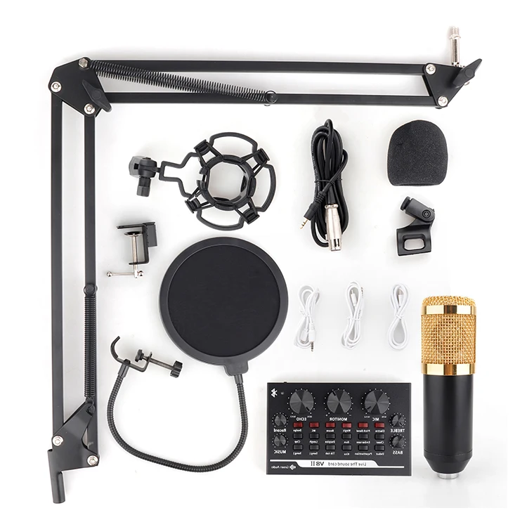 

Suspension Microphone Full Set Studio Recording Condenser Microphone