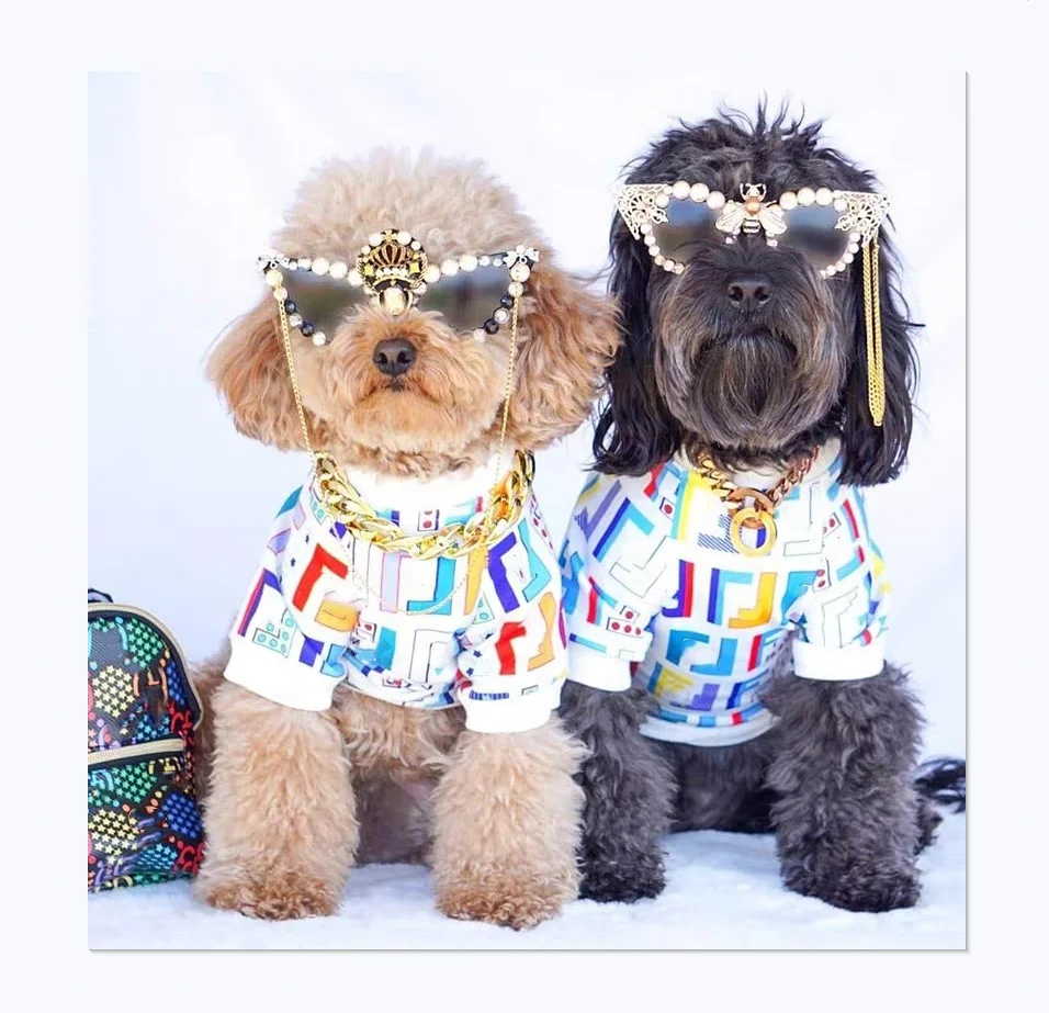 

Brand Classic Striped F Print Colorful Cute Pet Clothes Dog Pullover Luxury